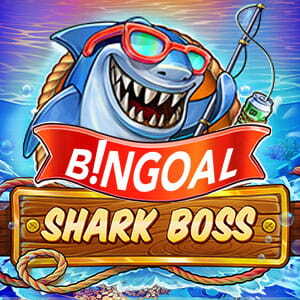 Bingoal Shark Boss