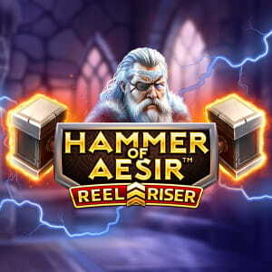 Hammer Of Aesir Reel Riser
