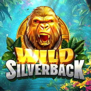 Wild Silverback